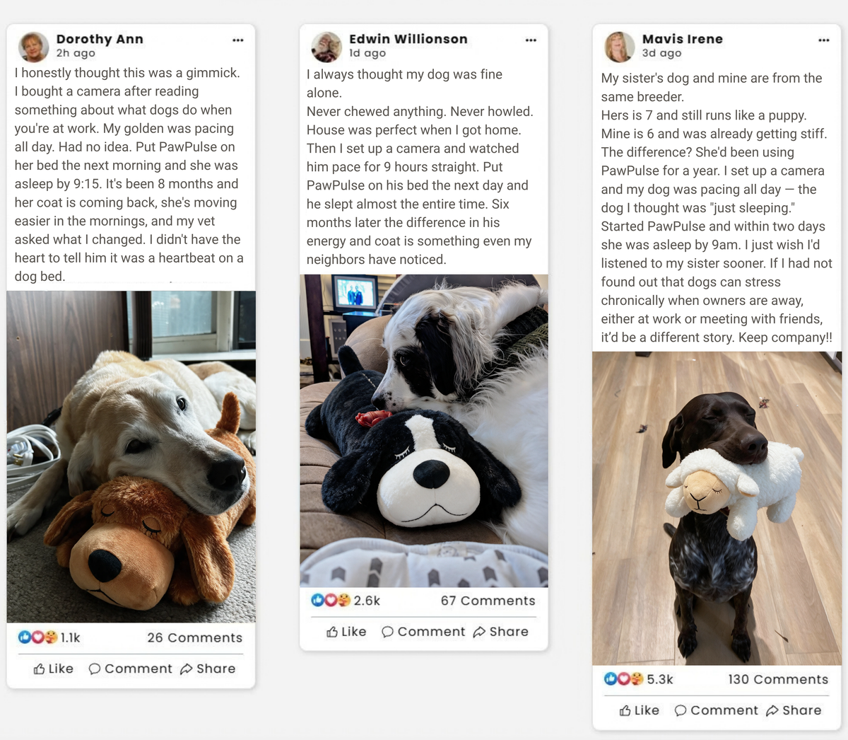 Customer review