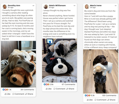 Stop The Silent Cortisol Drain With PawPulse — The Heartbeat Companion