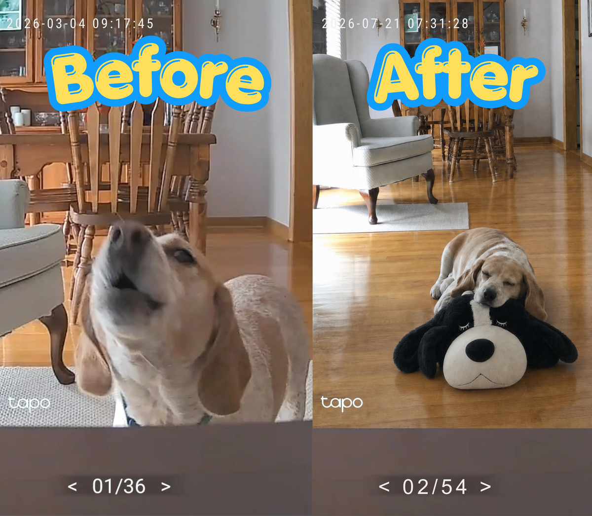 Stop The Silent Cortisol Drain With PawPulse — The Heartbeat Companion