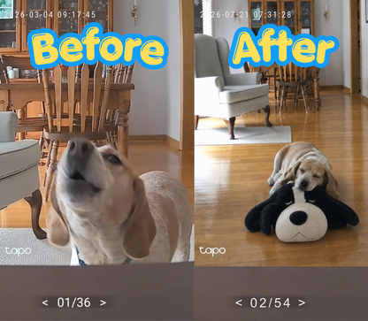 Stop The Silent Cortisol Drain With PawPulse — The Heartbeat Companion
