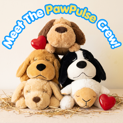 Stop The Silent Cortisol Drain With PawPulse — The Heartbeat Companion