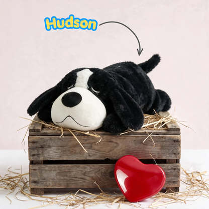 Stop The Silent Cortisol Drain With PawPulse — The Heartbeat Companion