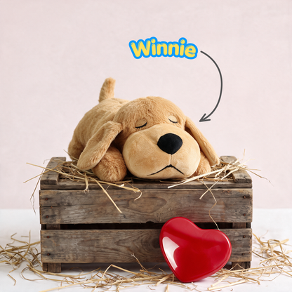 Stop The Silent Cortisol Drain With PawPulse — The Heartbeat Companion