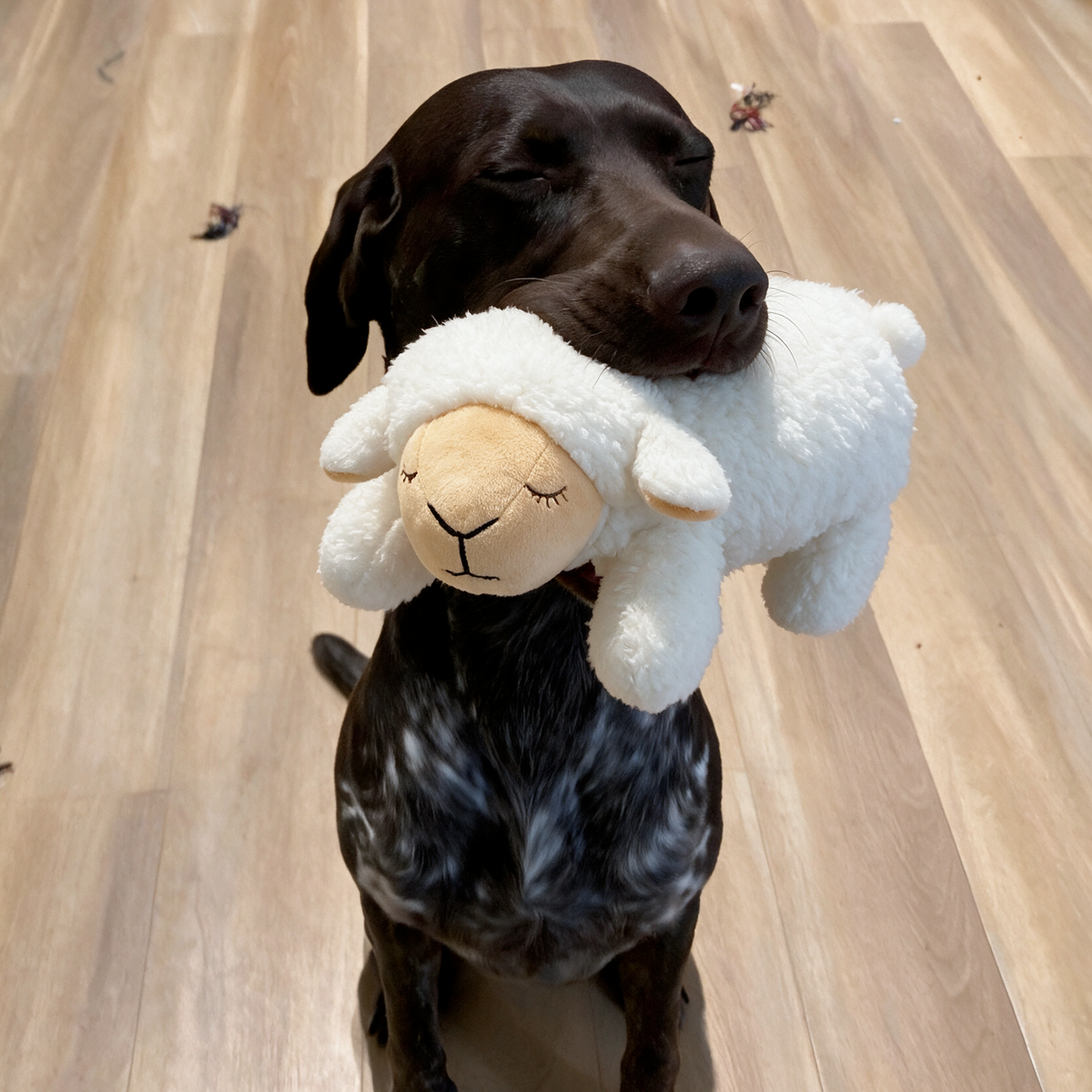 Stop The Silent Cortisol Drain With PawPulse — The Heartbeat Companion
